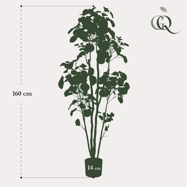 Kunstplant - Polyscias - Aralia - 160 cm