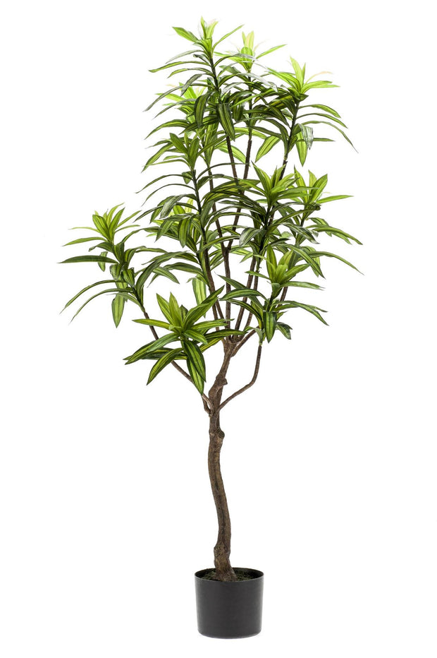 Kunstplant - Dracaena - Drakenboom - 130 cm