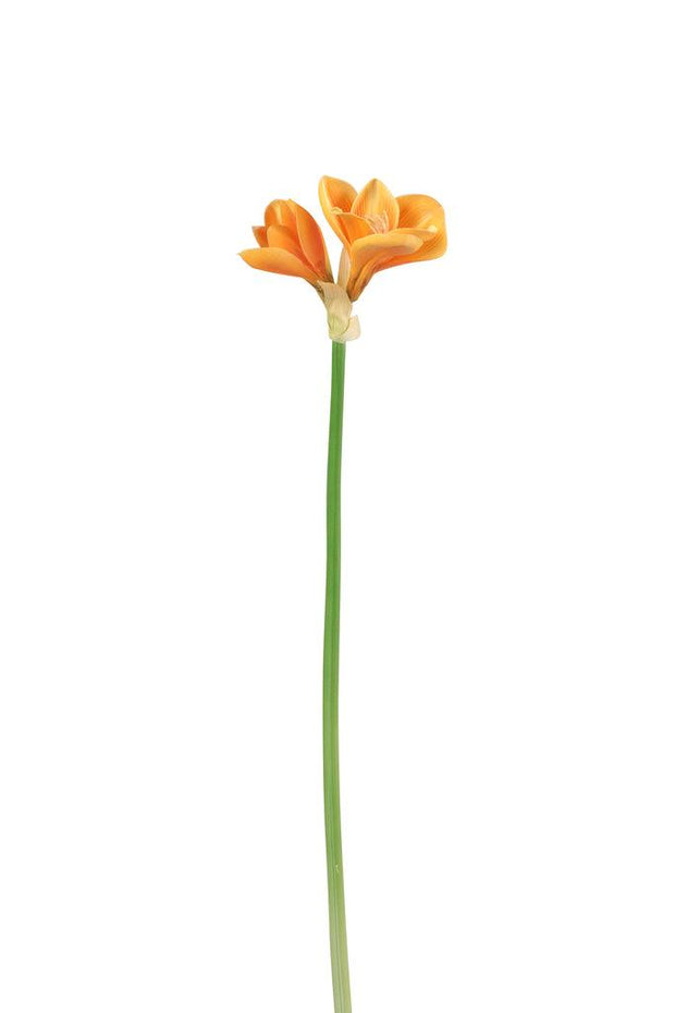 Amaryllis 3 Bloem Plastic Licht Oranje - Florismoo