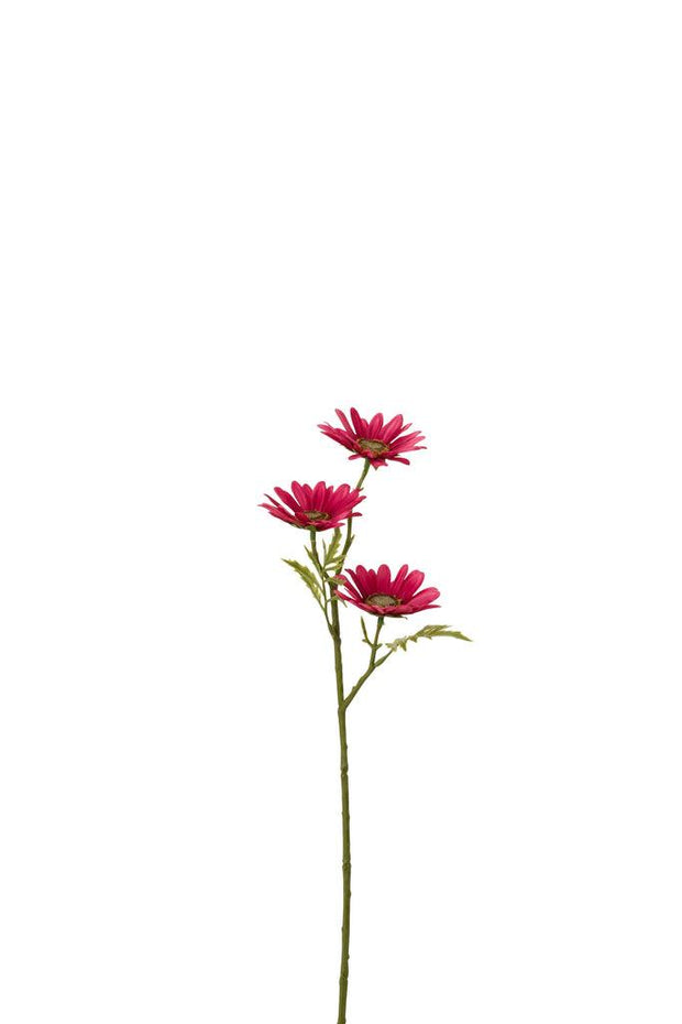 Bloem Madeliefje Plastic Fuchsia - Florismoo