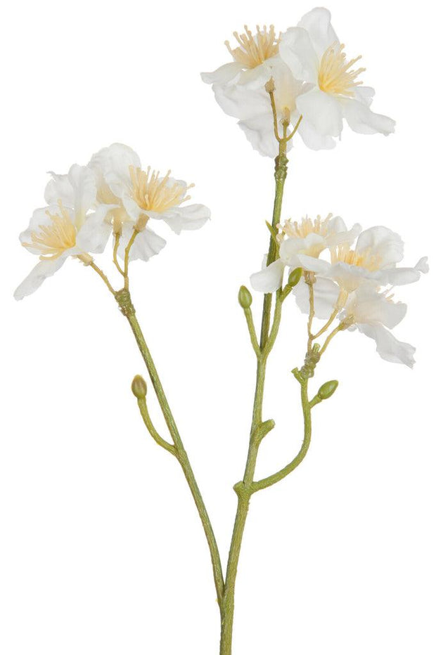 Bloesem Kersenboom Wit/Licht Geel Small - Florismoo