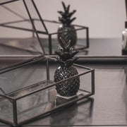 HV Ananas Zwart - 5x5x11 cm - Florismoo