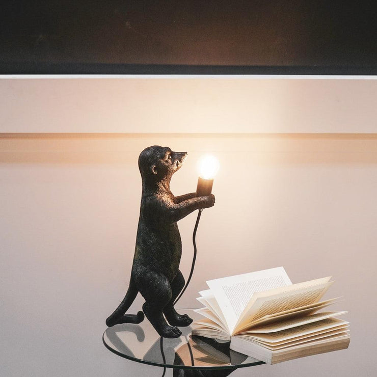 HV Meerkat Lamp - Zwart - Florismoo Essentials & Mobility