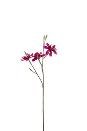 Magnolia Tak Plastic Donker Fuchsia - Florismoo