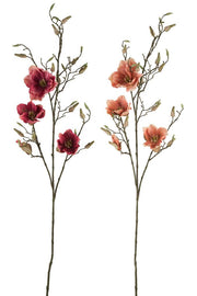 Magnolia Tak Plastic Roze Mix Assortiment Van 2 - Florismoo