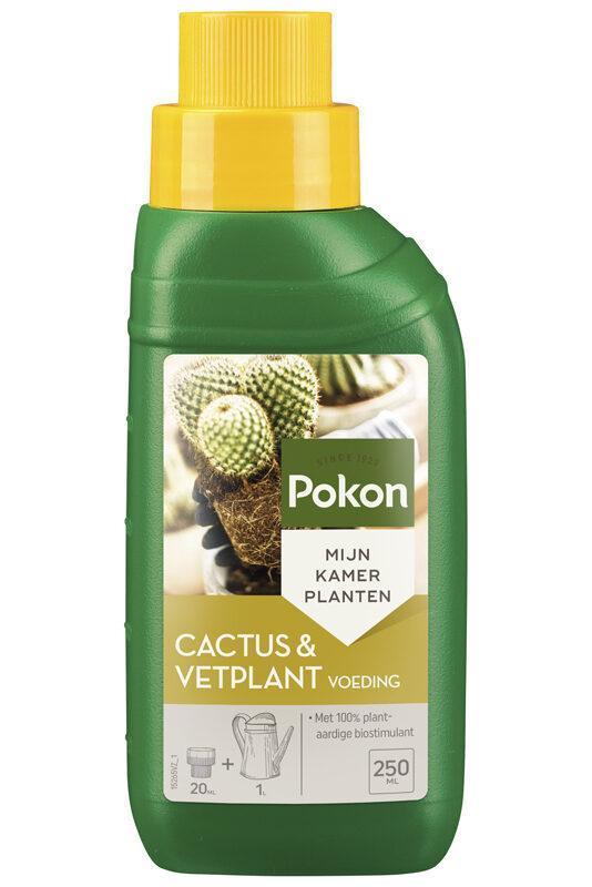 Pokon Cactussen Plant Food 250ML - Florismoo