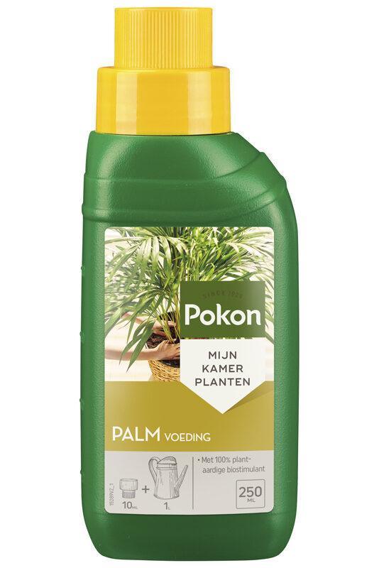 Pokon Palm Plant Food 250ML - Florismoo