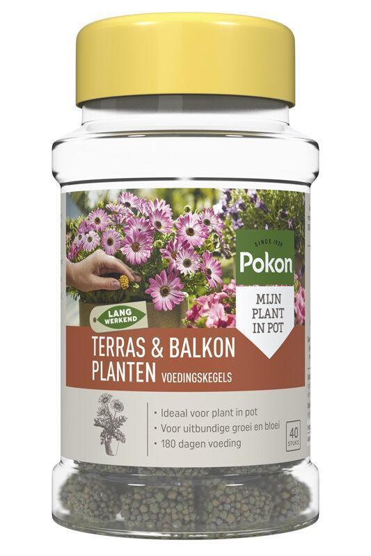 Pokon Terras&Balkon Planten Voedingskegels - 40x - Florismoo