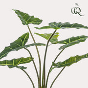 Kunstplant - Alocasia Frydek - Olifantsoor - 90 cm