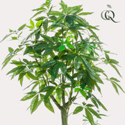 Kunstplant - Pachira Aquatica - Geldboom - 150 cm