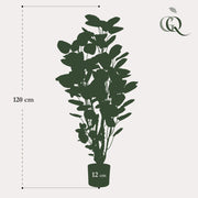 Kunstplant - Polyscias - Aralia - 105 cm