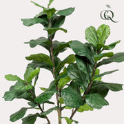 Kunstplant - Ficus Lyrata - Tabaksplant - 180 cm
