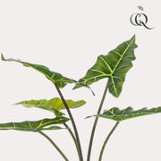 Kunstplant - Alocasia Frydek - Olifantsoor - 80 cm