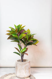 Kunstplant - Croton Codiaeum - Wonderstruik - 100 cm
