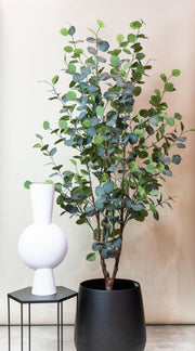Kunstplant - Eucalyptus - Blauwe Gomboom - 140cm - 180 cm