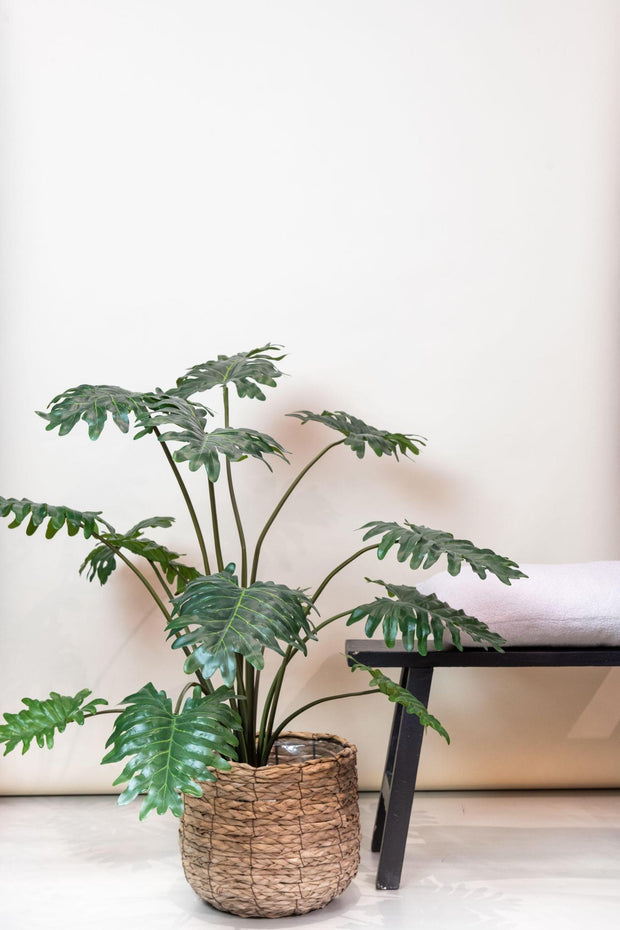 Kunstplant - Philodendron - 105 cm
