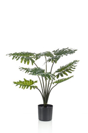 Kunstplant - Philodendron - 75 cm