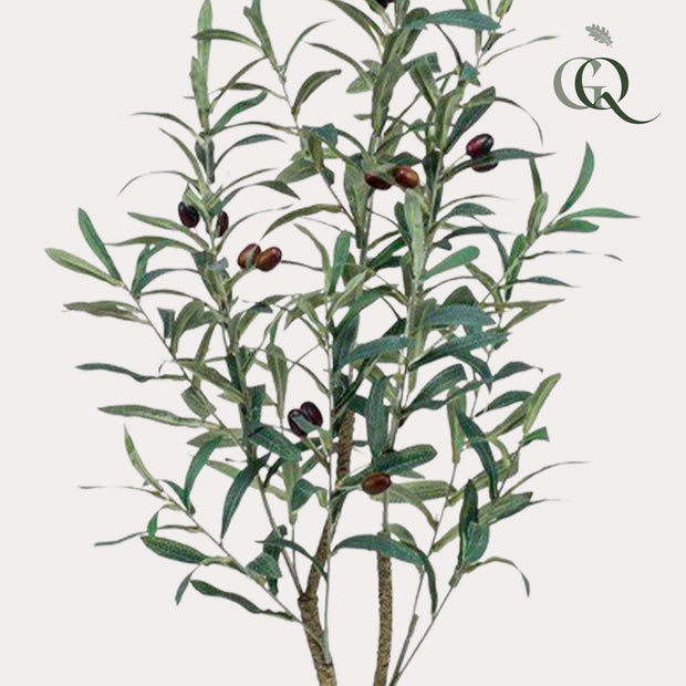 Kunst Olijfboom -  Olea europaea - Olijfboom - 90 cm