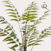 Kunstplant - Rumohra Adiantiformis - Ledervaren - 150 cm