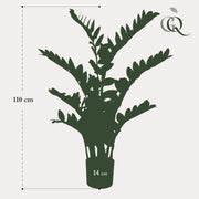 Kunstplant - Zamioculcas - Kamerpalm - 110 cm