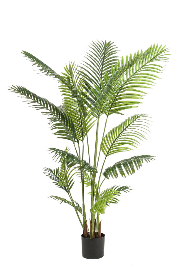 Kunstplant - 160 cm - Howea Forsteriana