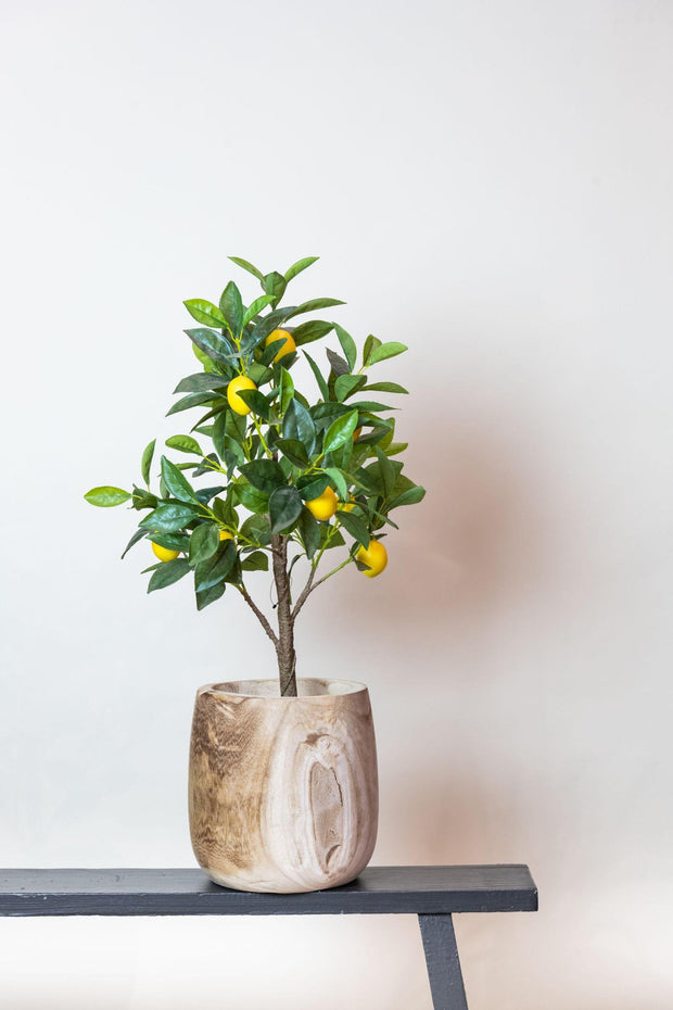 Kunstplant - Citrus Limonia - Citroenboom - 75 cm
