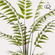 Kunstplant - Rumohra Adiantiformis - Ledervaren - 180 cm
